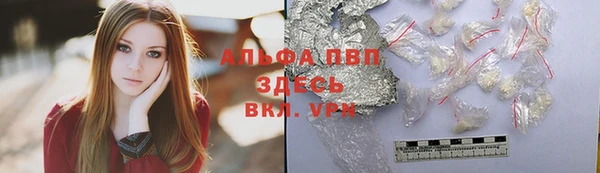 гашик Щучье