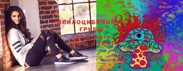 гашик Щучье