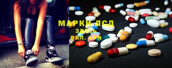 крисы Щёлкино