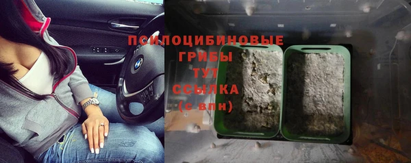 крисы Щёлкино